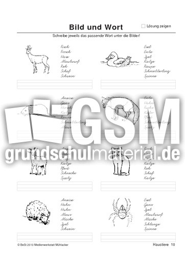 BuW Haustiere10.pdf